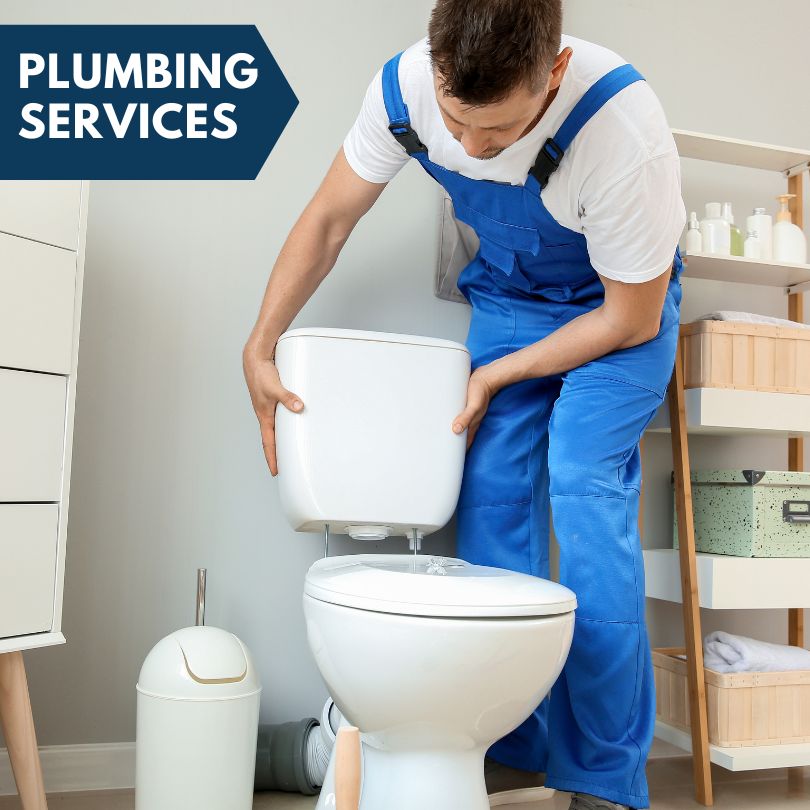 Plumbing Company in Oglesby, IL